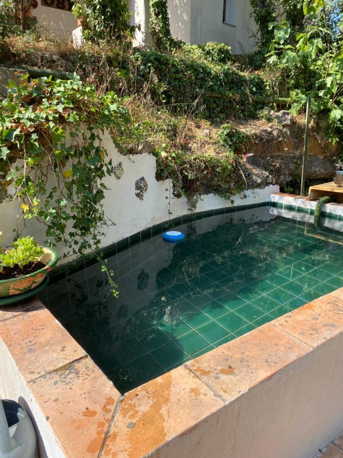 La Mahasiah Villa Puget-sur-Argens Esterno foto